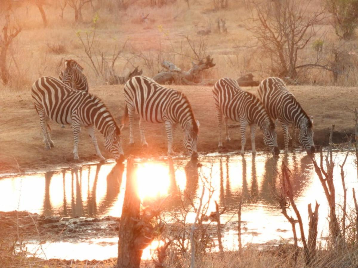 Bongan Safari Lodge Mbabat Екстериор снимка